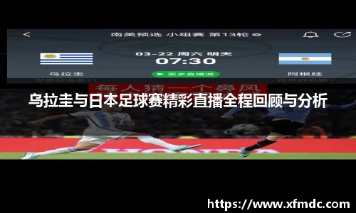 币游国际
